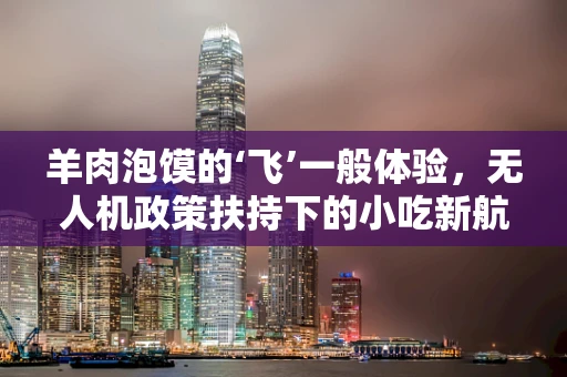 羊肉泡馍的‘飞’一般体验，无人机政策扶持下的小吃新航路？