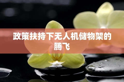 政策扶持下无人机储物架的腾飞