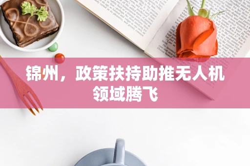 锦州，政策扶持助推无人机领域腾飞