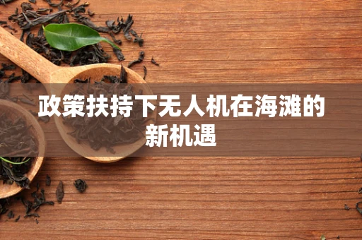 政策扶持下无人机在海滩的新机遇