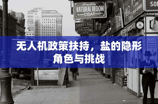 无人机政策扶持，盐的隐形角色与挑战