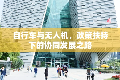 自行车与无人机，政策扶持下的协同发展之路