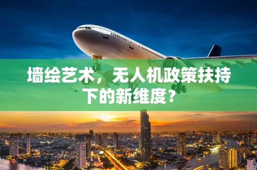 墙绘艺术，无人机政策扶持下的新维度？