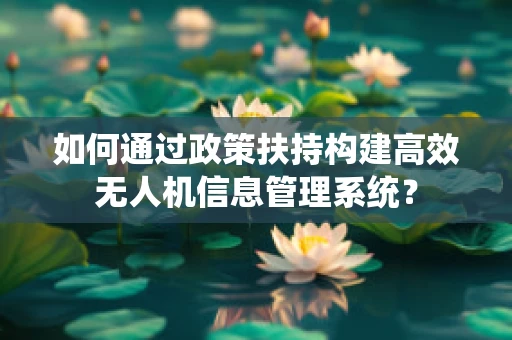 如何通过政策扶持构建高效无人机信息管理系统？