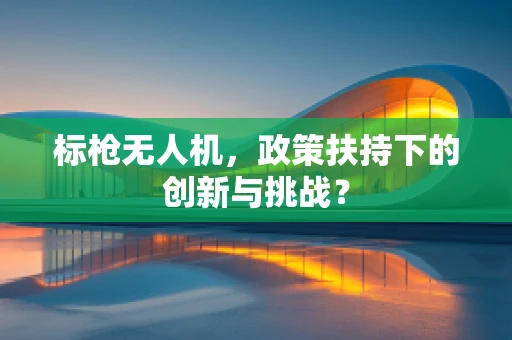 标枪无人机，政策扶持下的创新与挑战？