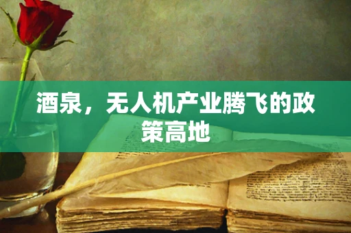 酒泉，无人机产业腾飞的政策高地