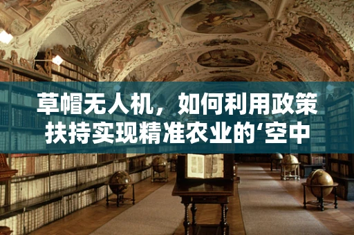 草帽无人机，如何利用政策扶持实现精准农业的‘空中之眼’？