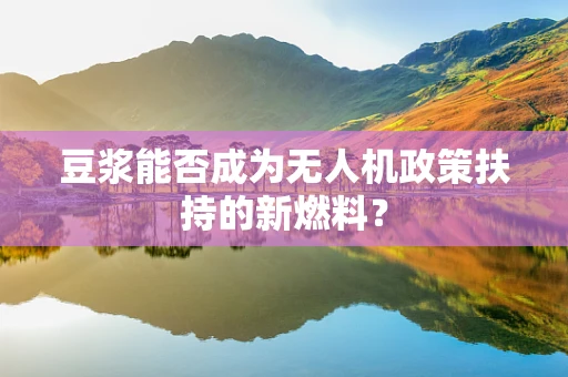豆浆能否成为无人机政策扶持的新燃料？