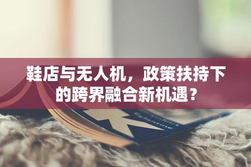鞋店与无人机，政策扶持下的跨界融合新机遇？