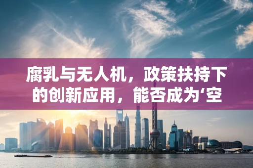 腐乳与无人机，政策扶持下的创新应用，能否成为‘空中美味’？