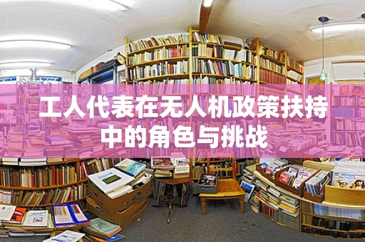 工人代表在无人机政策扶持中的角色与挑战