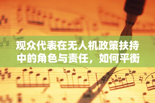 观众代表在无人机政策扶持中的角色与责任，如何平衡安全与公众参与？