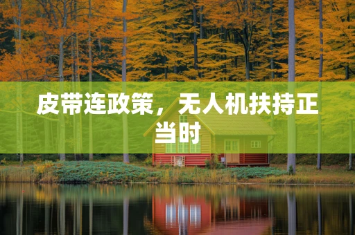 皮带连政策，无人机扶持正当时