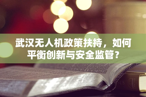武汉无人机政策扶持，如何平衡创新与安全监管？