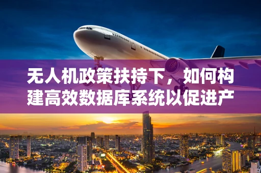 无人机政策扶持下，如何构建高效数据库系统以促进产业发展？