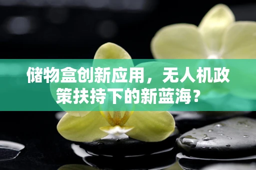 储物盒创新应用，无人机政策扶持下的新蓝海？
