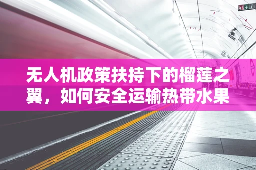无人机政策扶持下的榴莲之翼，如何安全运输热带水果？