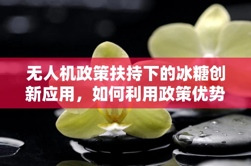 无人机政策扶持下的冰糖创新应用，如何利用政策优势推动小型无人机载重技术革新？