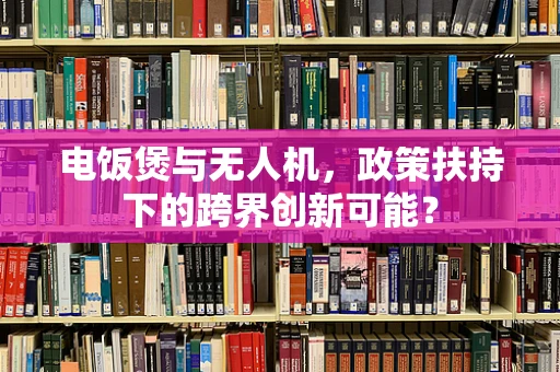 电饭煲与无人机，政策扶持下的跨界创新可能？