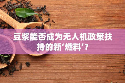 豆浆能否成为无人机政策扶持的新‘燃料’？