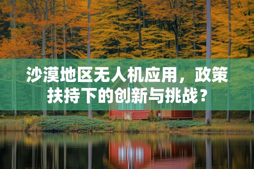 沙漠地区无人机应用，政策扶持下的创新与挑战？