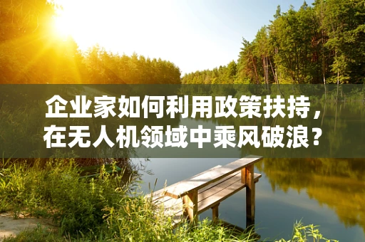 企业家如何利用政策扶持，在无人机领域中乘风破浪？