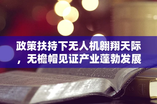 政策扶持下无人机翱翔天际，无檐帽见证产业蓬勃发展