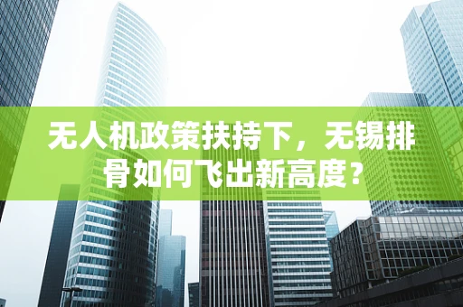 无人机政策扶持下，无锡排骨如何飞出新高度？