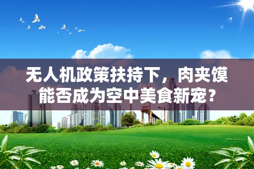 无人机政策扶持下，肉夹馍能否成为空中美食新宠？