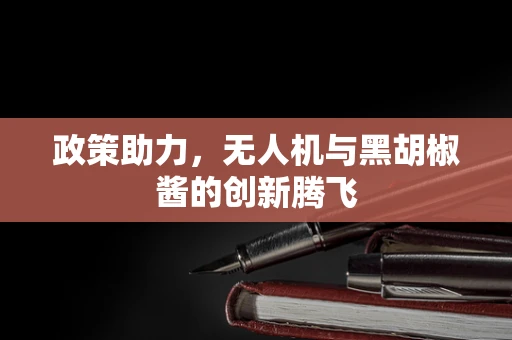 政策助力，无人机与黑胡椒酱的创新腾飞