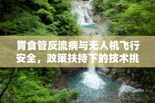 胃食管反流病与无人机飞行安全，政策扶持下的技术挑战与健康考量