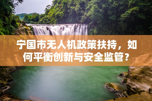 宁国市无人机政策扶持，如何平衡创新与安全监管？
