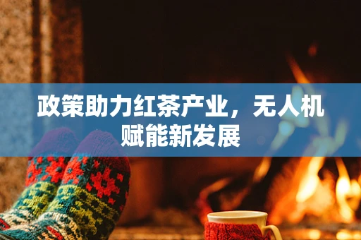 政策助力红茶产业，无人机赋能新发展