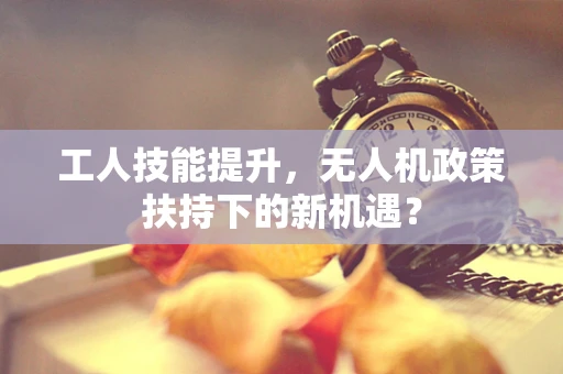 工人技能提升，无人机政策扶持下的新机遇？