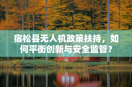 宿松县无人机政策扶持，如何平衡创新与安全监管？