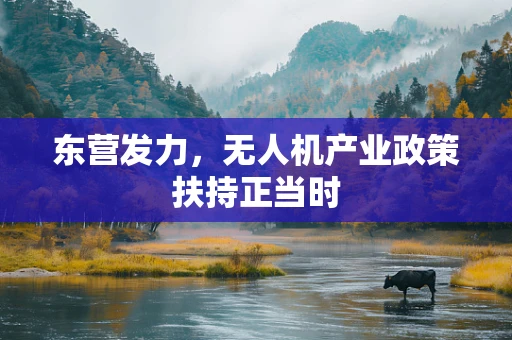 东营发力，无人机产业政策扶持正当时