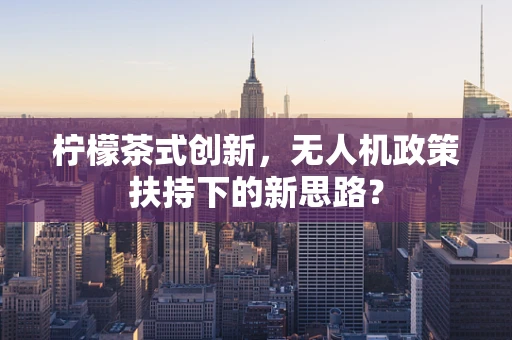 柠檬茶式创新，无人机政策扶持下的新思路？