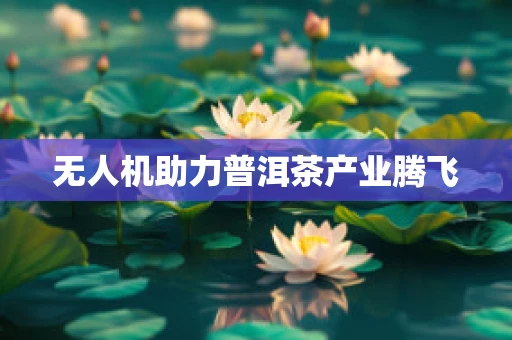 无人机助力普洱茶产业腾飞