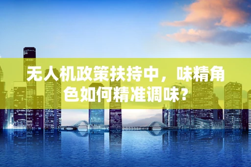 无人机政策扶持中，味精角色如何精准调味？