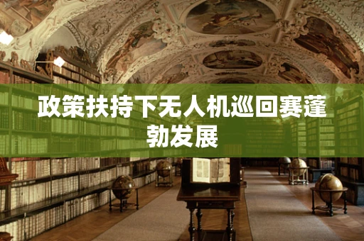 政策扶持下无人机巡回赛蓬勃发展