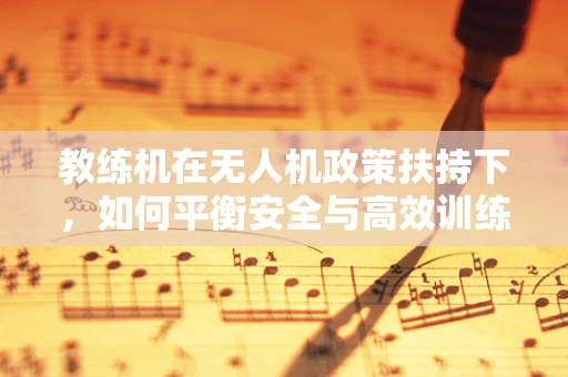 教练机在无人机政策扶持下，如何平衡安全与高效训练？