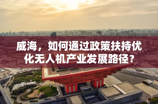 威海，如何通过政策扶持优化无人机产业发展路径？