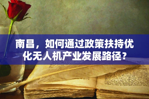 南昌，如何通过政策扶持优化无人机产业发展路径？