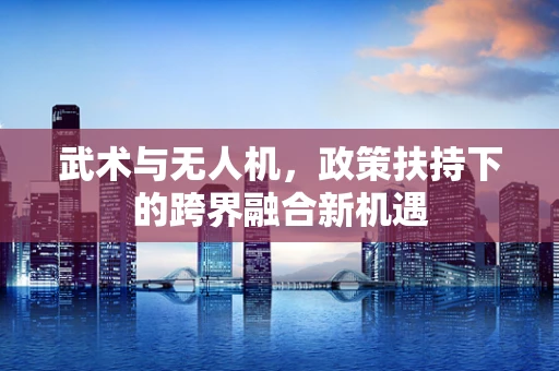 武术与无人机，政策扶持下的跨界融合新机遇