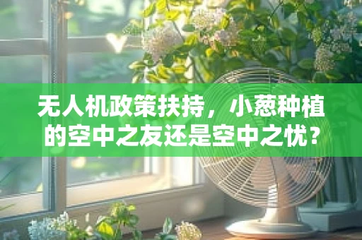 无人机政策扶持，小葱种植的空中之友还是空中之忧？
