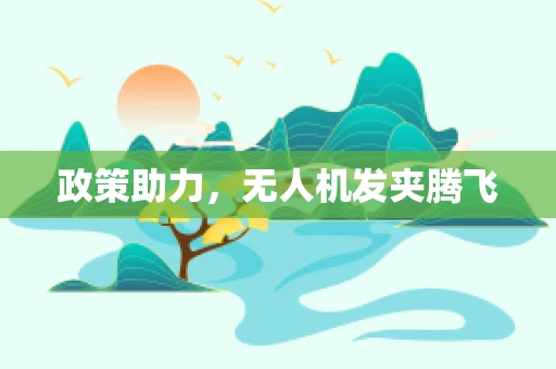 政策助力，无人机发夹腾飞