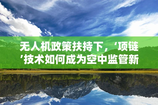 无人机政策扶持下，‘项链’技术如何成为空中监管新‘锁’？