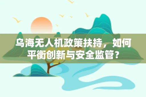 乌海无人机政策扶持，如何平衡创新与安全监管？