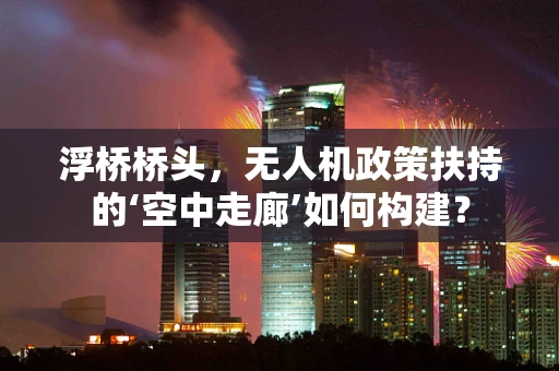 浮桥桥头，无人机政策扶持的‘空中走廊’如何构建？
