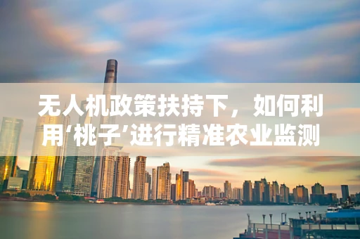 无人机政策扶持下，如何利用‘桃子’进行精准农业监测？
